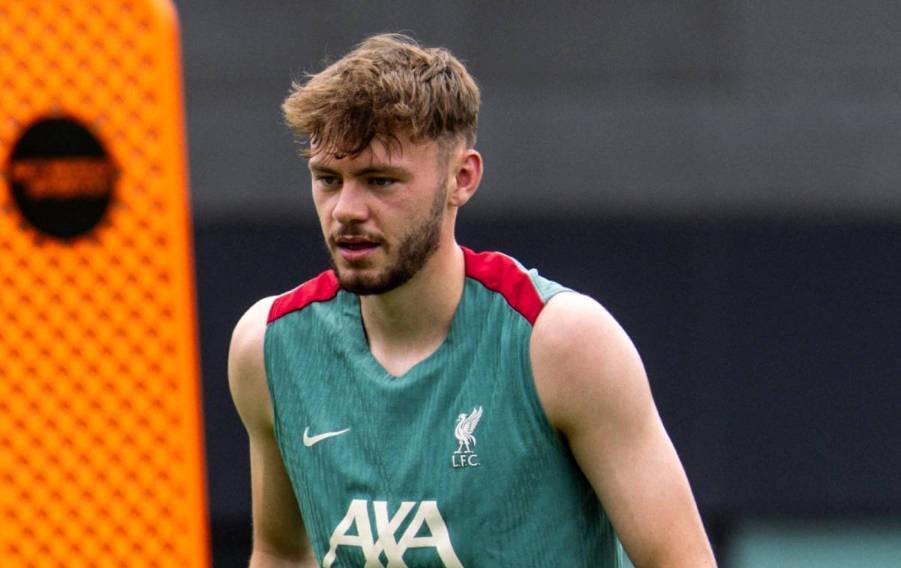 爱游戏下载-邮报：即使北爱尔兰进世界杯正赛，布拉德利也几乎确定将缺席